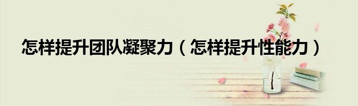 怎樣提升團(tuán)隊(duì)凝聚力（怎樣提升性能力）