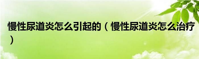 慢性尿道炎怎么引起的（慢性尿道炎怎么治療）