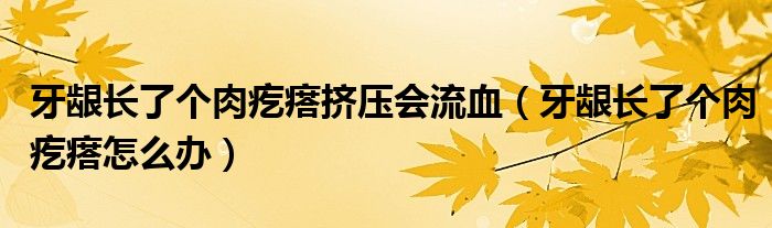 牙齦長(zhǎng)了個(gè)肉疙瘩擠壓會(huì)流血（牙齦長(zhǎng)了個(gè)肉疙瘩怎么辦）