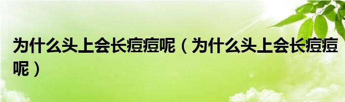 為什么頭上會長痘痘呢（為什么頭上會長痘痘呢）