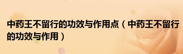 中藥王不留行的功效與作用點（中藥王不留行的功效與作用）