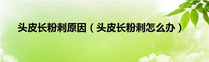 頭皮長(zhǎng)粉刺原因（頭皮長(zhǎng)粉刺怎么辦）