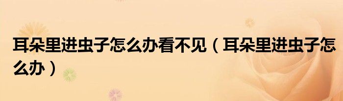 耳朵里進(jìn)蟲(chóng)子怎么辦看不見(jiàn)（耳朵里進(jìn)蟲(chóng)子怎么辦）