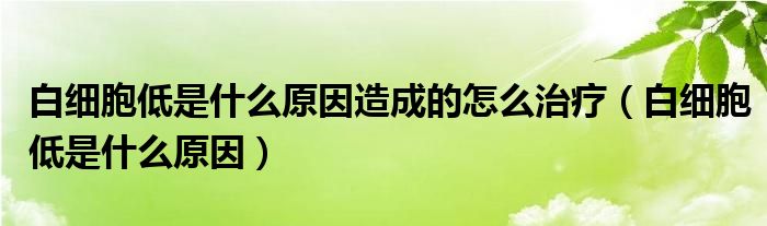 白細(xì)胞低是什么原因造成的怎么治療（白細(xì)胞低是什么原因）