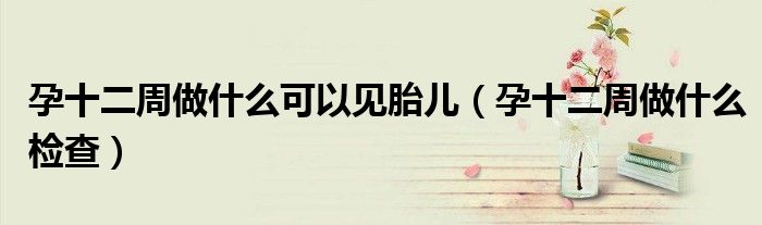 孕十二周做什么可以見胎兒（孕十二周做什么檢查）