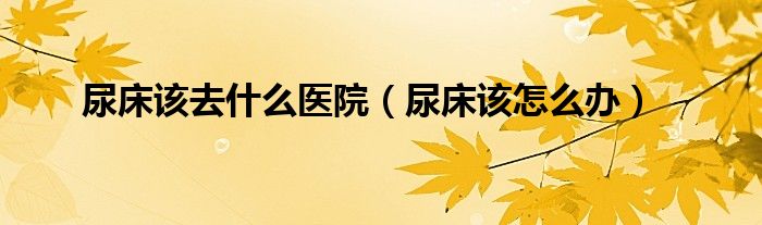 尿床該去什么醫(yī)院（尿床該怎么辦）