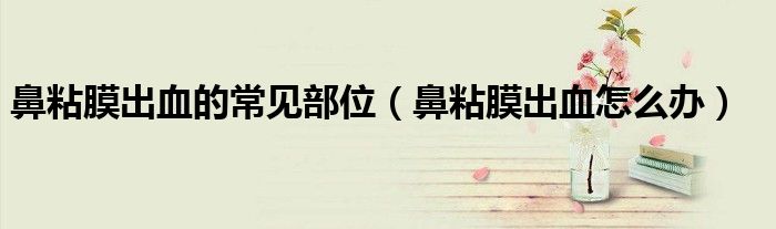 鼻粘膜出血的常見部位（鼻粘膜出血怎么辦）