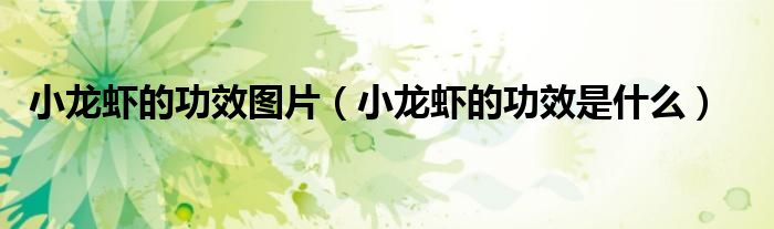 小龍蝦的功效圖片（小龍蝦的功效是什么）