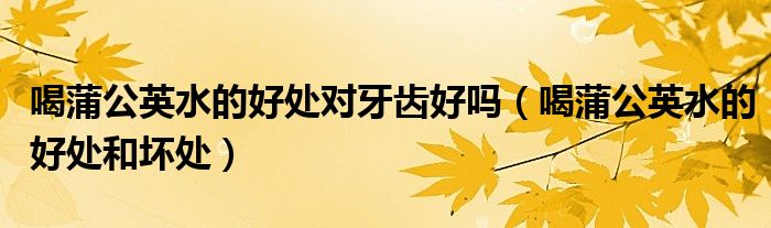 喝蒲公英水的好處對牙齒好嗎（喝蒲公英水的好處和壞處）