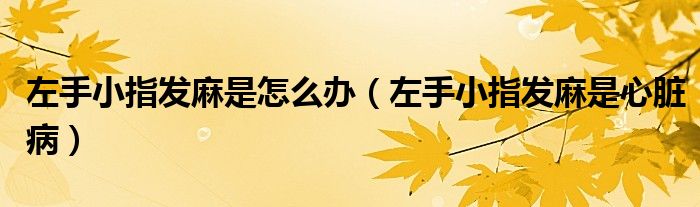 左手小指發(fā)麻是怎么辦（左手小指發(fā)麻是心臟?。?class='thumb lazy' /></a>
		    <header>
		<h2><a  href=