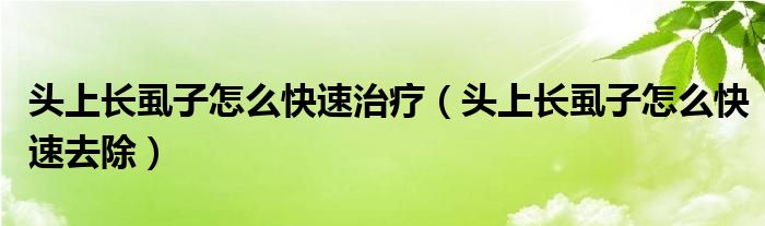 頭上長(zhǎng)虱子怎么快速治療（頭上長(zhǎng)虱子怎么快速去除）
