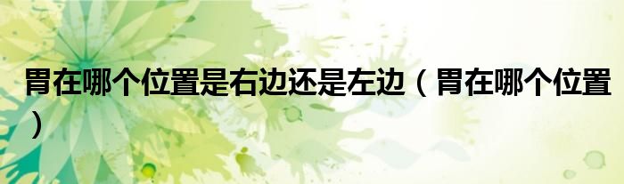 胃在哪個(gè)位置是右邊還是左邊（胃在哪個(gè)位置）