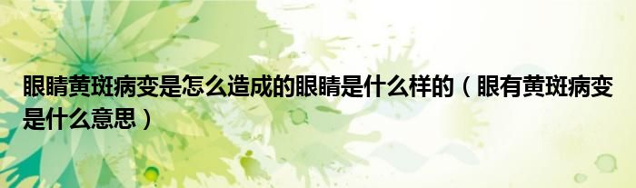 眼睛黃斑病變是怎么造成的眼睛是什么樣的（眼有黃斑病變是什么意思）