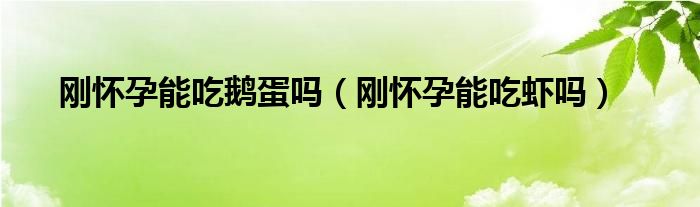 剛懷孕能吃鵝蛋嗎(剛懷孕能吃蝦嗎)