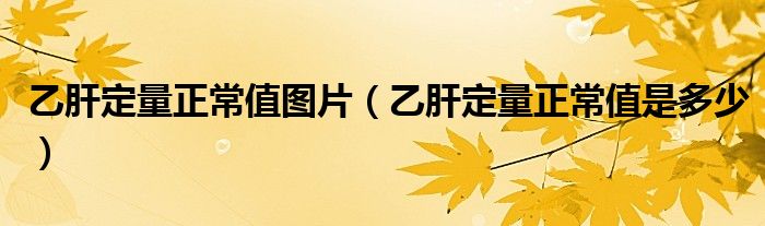 乙肝定量正常值圖片（乙肝定量正常值是多少）