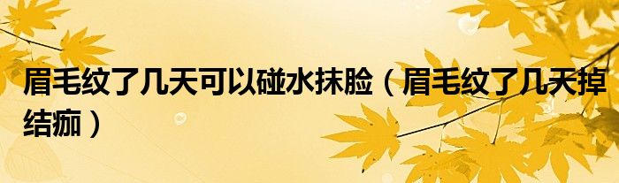 眉毛紋了幾天可以碰水抹臉（眉毛紋了幾天掉結痂）