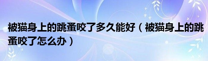 被貓身上的跳蚤咬了多久能好（被貓身上的跳蚤咬了怎么辦）