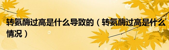 轉(zhuǎn)氨酶過(guò)高是什么導(dǎo)致的（轉(zhuǎn)氨酶過(guò)高是什么情況）