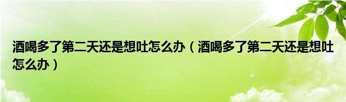 酒喝多了第二天還是想吐怎么辦（酒喝多了第二天還是想吐怎么辦）