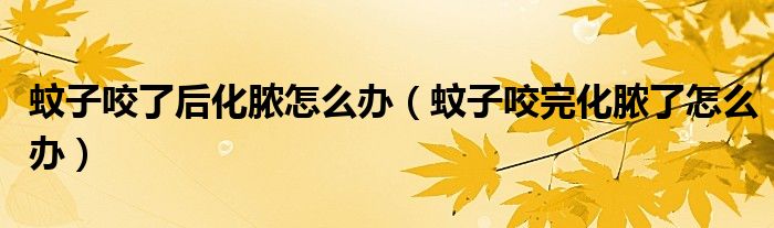 蚊子咬了后化膿怎么辦（蚊子咬完化膿了怎么辦）