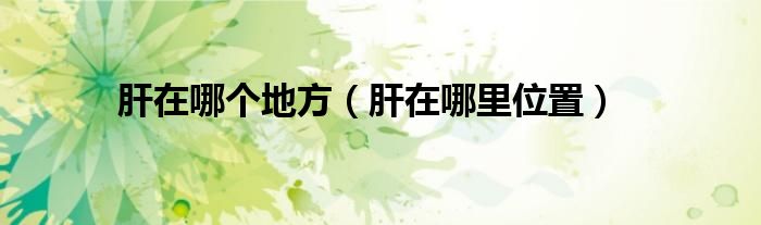 肝在哪個地方（肝在哪里位置）