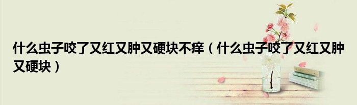什么蟲子咬了又紅又腫又硬塊不癢（什么蟲子咬了又紅又腫又硬塊）