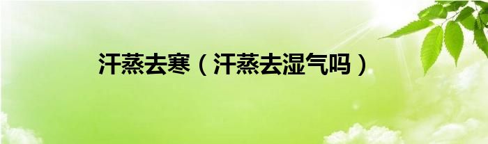 汗蒸去寒（汗蒸去濕氣嗎）