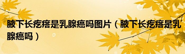 腋下長疙瘩是乳腺癌嗎圖片（腋下長疙瘩是乳腺癌嗎）