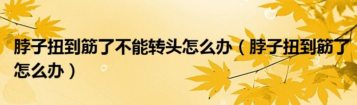 脖子扭到筋了不能轉(zhuǎn)頭怎么辦（脖子扭到筋了怎么辦）