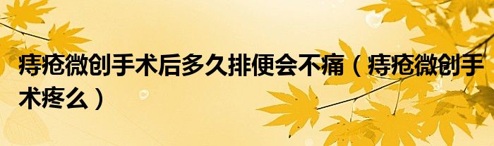 痔瘡微創(chuàng)手術(shù)后多久排便會不痛(痔瘡微創(chuàng)手術(shù)疼么)