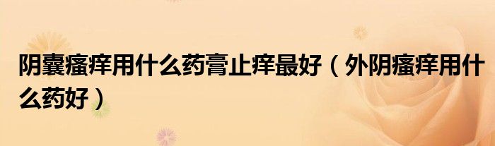 陰囊瘙癢用什么藥膏止癢最好(外陰瘙癢用什么藥好)