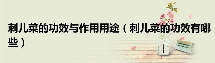 刺兒菜的功效與作用用途(刺兒菜的功效有哪些)