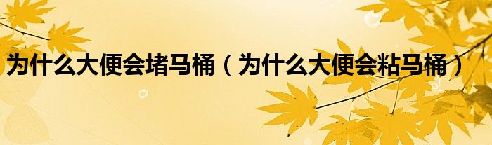 為什么大便會堵馬桶（為什么大便會粘馬桶）
