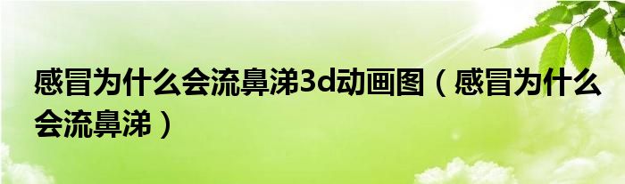 感冒為什么會(huì)流鼻涕3d動(dòng)畫圖（感冒為什么會(huì)流鼻涕）