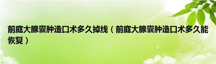 前庭大腺囊腫造口術(shù)多久掉線(前庭大腺囊腫造口術(shù)多久能恢復)