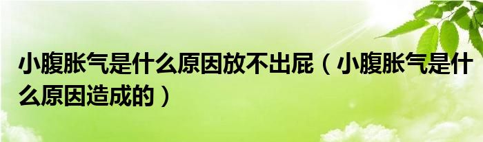 小腹脹氣是什么原因放不出屁（小腹脹氣是什么原因造成的）