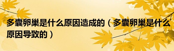 多囊卵巢是什么原因造成的（多囊卵巢是什么原因?qū)е碌模?class='thumb lazy' /></a>
		    <header>
		<h2><a  href=