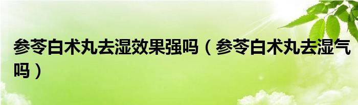 參苓白術(shù)丸去濕效果強嗎（參苓白術(shù)丸去濕氣嗎）