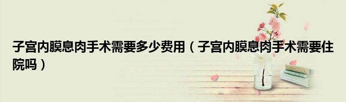 子宮內(nèi)膜息肉手術(shù)需要多少費(fèi)用（子宮內(nèi)膜息肉手術(shù)需要住院?jiǎn)幔?class='thumb lazy' /></a>
		    <header>
		<h2><a  href=