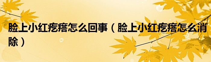 臉上小紅疙瘩怎么回事（臉上小紅疙瘩怎么消除）