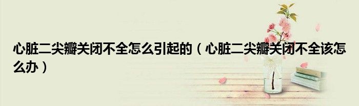 心臟二尖瓣關(guān)閉不全怎么引起的（心臟二尖瓣關(guān)閉不全該怎么辦）