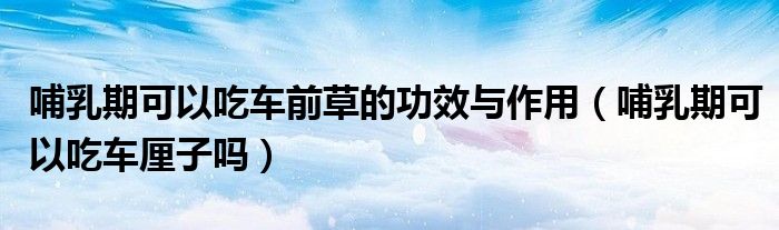 哺乳期可以吃車前草的功效與作用（哺乳期可以吃車?yán)遄訂幔?class='thumb lazy' /></a>
		    <header>
		<h2><a  href=
