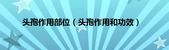 頭孢作用部位（頭孢作用和功效）