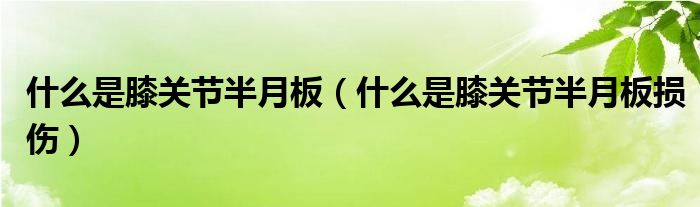 什么是膝關節(jié)半月板（什么是膝關節(jié)半月板損傷）