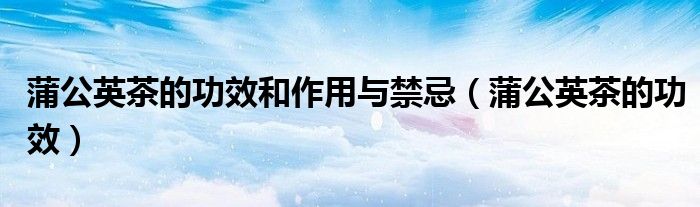蒲公英茶的功效和作用與禁忌（蒲公英茶的功效）