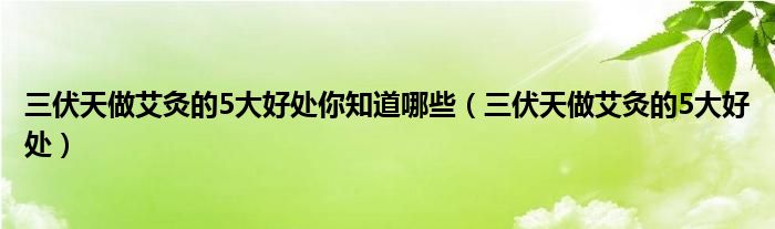 三伏天做艾灸的5大好處你知道哪些(三伏天做艾灸的5大好處)