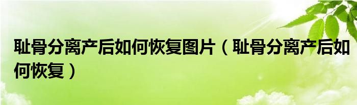 恥骨分離產后如何恢復圖片（恥骨分離產后如何恢復）