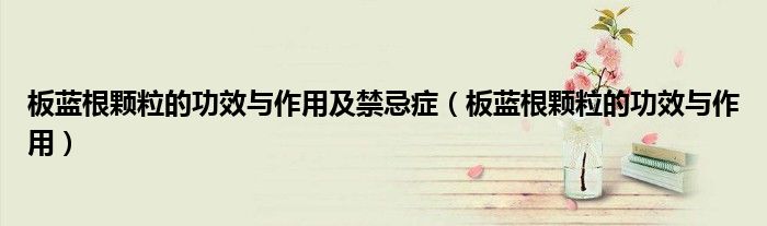 板藍(lán)根顆粒的功效與作用及禁忌癥（板藍(lán)根顆粒的功效與作用）
