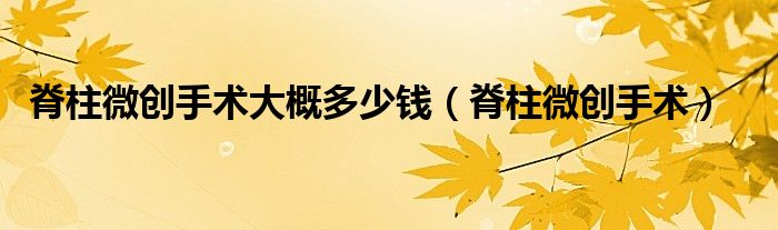 脊柱微創(chuàng)手術大概多少錢（脊柱微創(chuàng)手術）