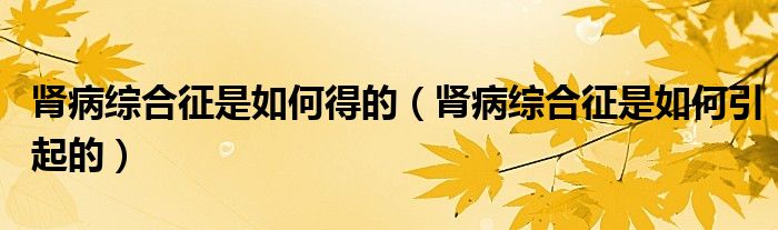 腎病綜合征是如何得的（腎病綜合征是如何引起的）